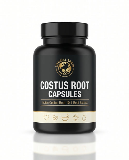 Costus Root Capsules — Indian Costus Root 10:1 root extract, 60 vegan capsules